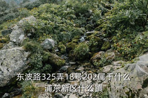 上海市 滬東新村，東波路325弄18號202屬于什么浦東新區(qū)什么鎮(zhèn)