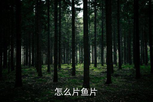 怎么片魚片