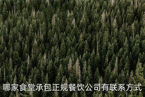 哪家食堂承包正規(guī)餐飲公司有聯(lián)系方式