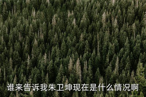朱衛(wèi)坤，如何利用seo打造品牌效應