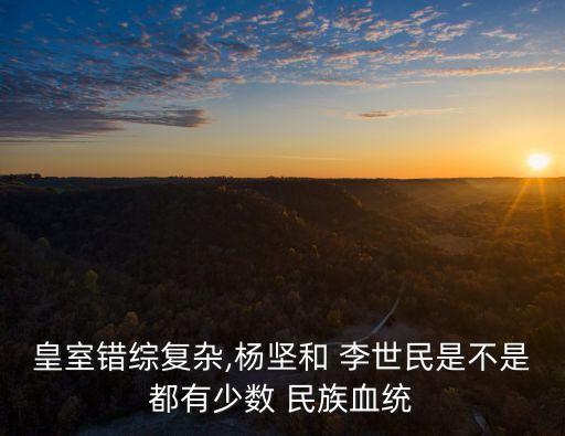 皇室錯綜復雜,楊堅和 李世民是不是都有少數 民族血統