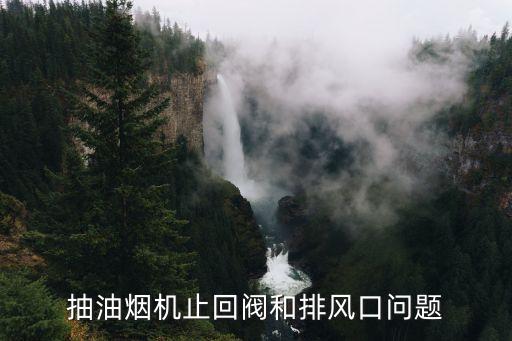 抽油煙機止回閥和排風口問題