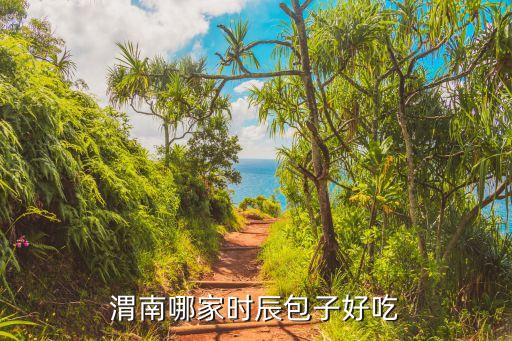 渭南時辰包子，渭南哪家時辰包子好吃