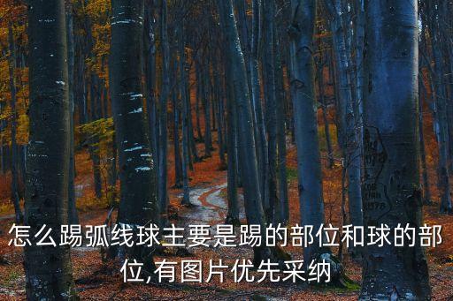 皮球圖片,墨西哥皮球魚技術要點:腳尖向下用腳背出平面拉打球