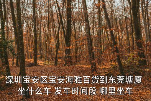 深圳寶安區寶安海雅百貨到東莞塘廈 坐什么車 發車時間段 哪里坐車