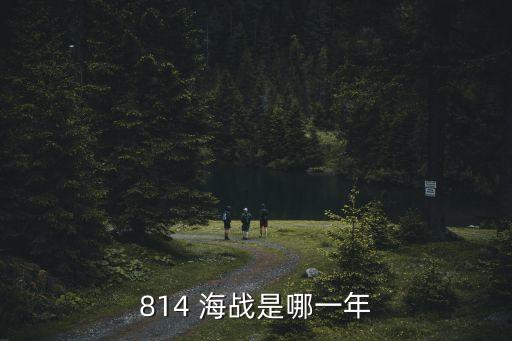 崇武海戰,中國解放軍海軍參戰史上沒有814海戰