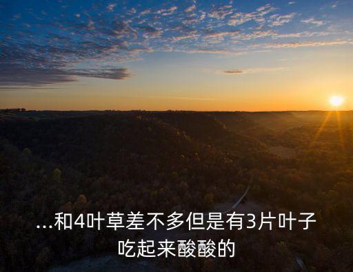 ...和4葉草差不多但是有3片葉子吃起來酸酸的