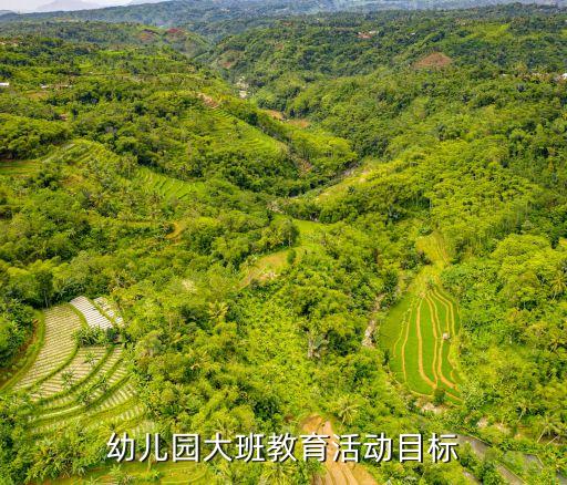 幼兒園大班教育活動目標
