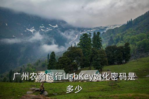 東莞農(nóng)商行usbkey初始密碼，廣州農(nóng)商銀行UsbKey始化密碼是多少