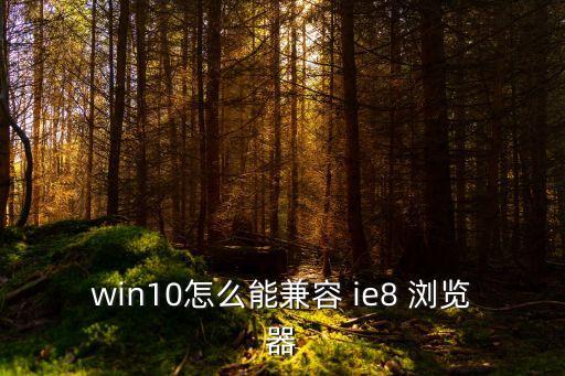 ie8瀏覽器,兼容性差導(dǎo)致顯示不正常怎么重裝ie8瀏覽器?