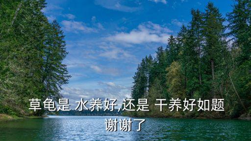草龜干養(yǎng)還是水養(yǎng)好,水龜養(yǎng)殖注意事項(xiàng)