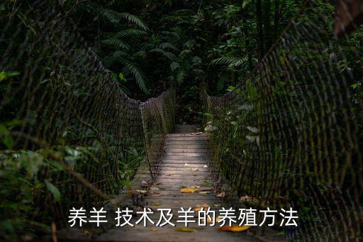 技術養(yǎng)羊,怎么養(yǎng)羊?選址和建筑有講究