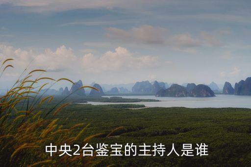  中央2臺鑒寶的主持人是誰