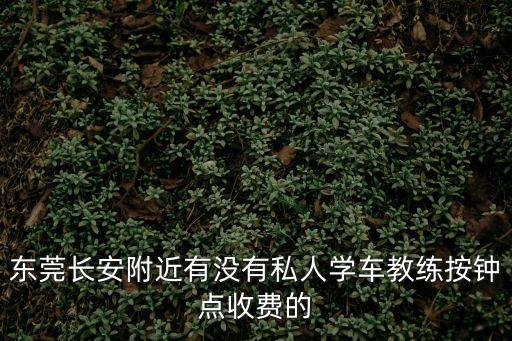 東莞企石科三私教價錢，問一下在廣東東莞考駕照要多少錢我在東莞企石知道的朋友可行告