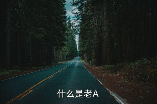 老漢a，老漢是什么意思