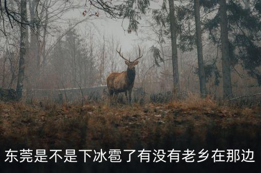 東莞下過冰雹沒，東莞是不是下冰雹了有沒有老鄉(xiāng)在那邊