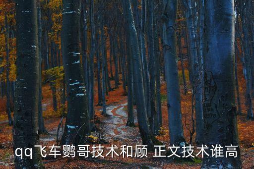 qq飛車鸚哥技術(shù)和顧 正文技術(shù)誰(shuí)高