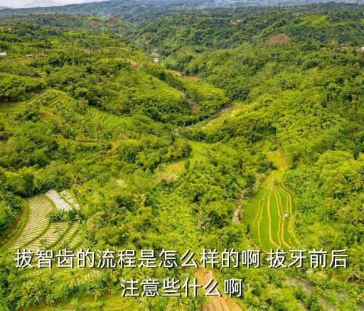 拔智齒的流程是怎么樣的啊 拔牙前后注意些什么啊
