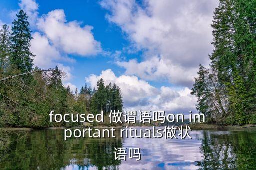 focused，focused 做謂語嗎on important rituals做狀語嗎