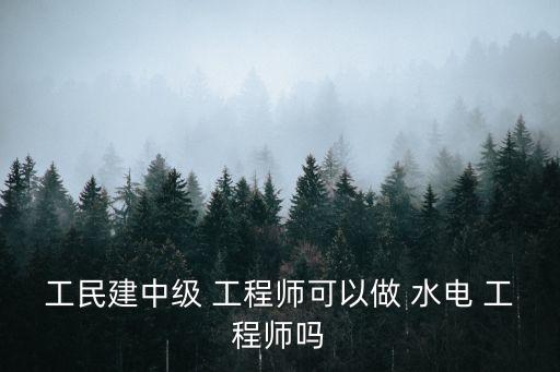 工民建中級 工程師可以做 水電 工程師嗎