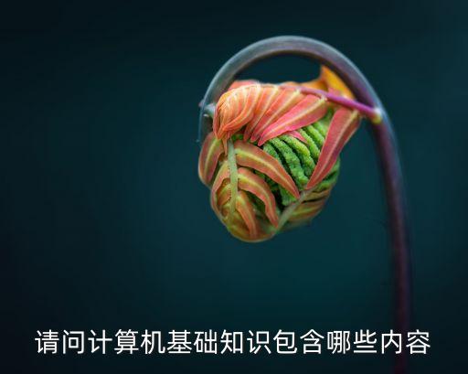 計(jì)算機(jī)的基礎(chǔ)知識，計(jì)算機(jī)基礎(chǔ)知識有哪些