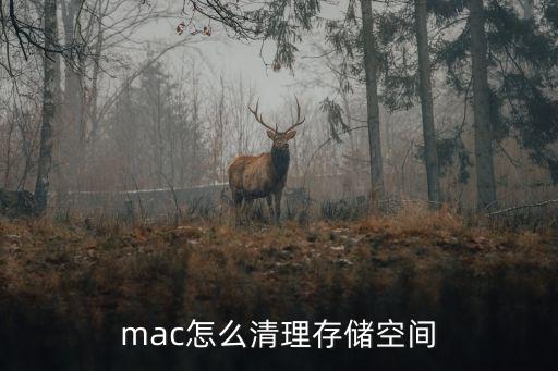 mac怎么清理存儲空間