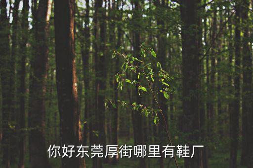 你好東莞厚街哪里有鞋廠