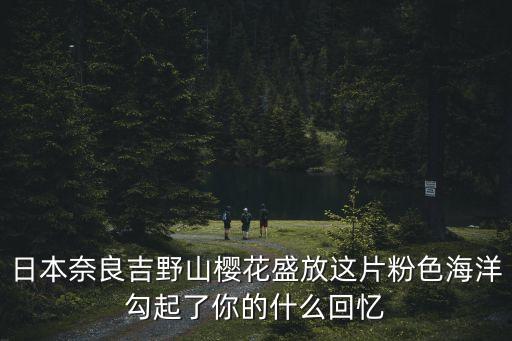 日本櫻花圖片，日本代表性質的櫻花