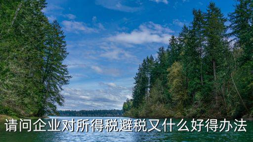 請(qǐng)問企業(yè)對(duì)所得稅避稅又什么好得辦法