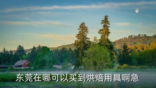 東莞在哪可以買到烘焙用具啊急