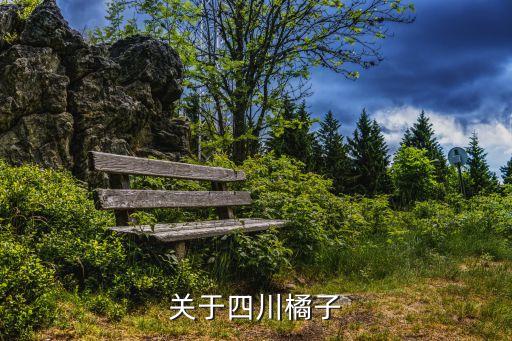小城橘子，城固橘子現在多少錢一斤