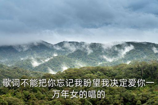 我決定愛你一萬年，I decide to love you ten thousand years also