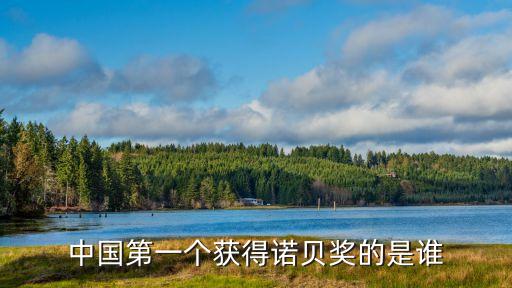 獲得諾貝爾獎(jiǎng)的中國人，有中國人獲得若貝爾獎(jiǎng)嗎