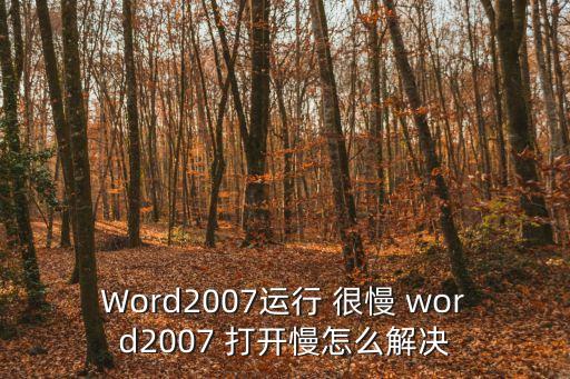 Word2007運(yùn)行 很慢 word2007 打開(kāi)慢怎么解決
