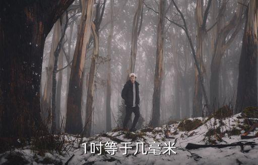 1吋等于幾毫米