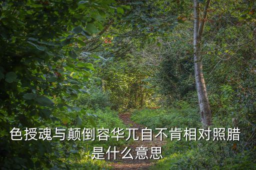 色授魂與顛倒容華兀自不肯相對照臘 是什么意思