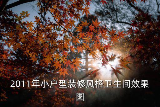 2011年小戶型裝修風格衛生間效果圖