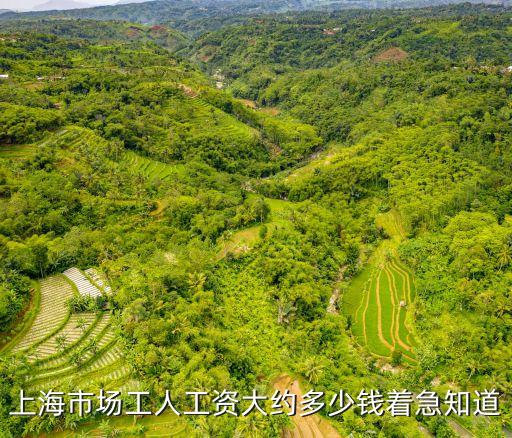 上海市其他工種價格，上海的普工多少錢一個月