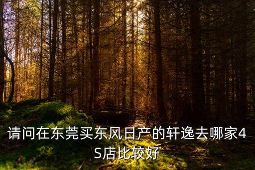 請問在東莞買東風日產的軒逸去哪家4S店比較好