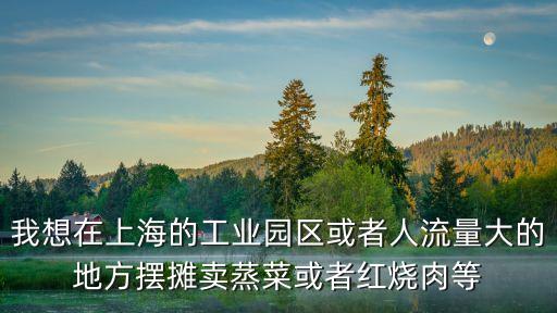 我想在上海的工業園區或者人流量大的地方擺攤賣蒸菜或者紅燒肉等