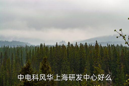 中電科風(fēng)華上海研發(fā)中心好么