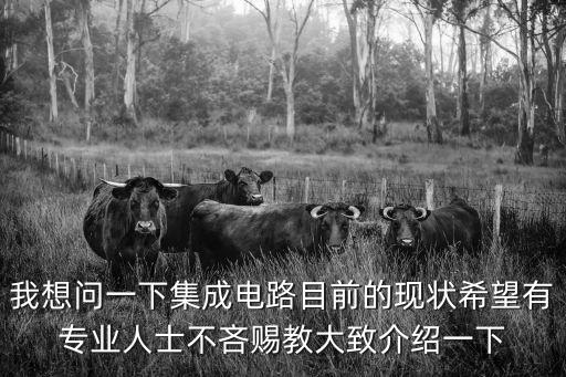 我想問一下集成電路目前的現(xiàn)狀希望有專業(yè)人士不吝賜教大致介紹一下