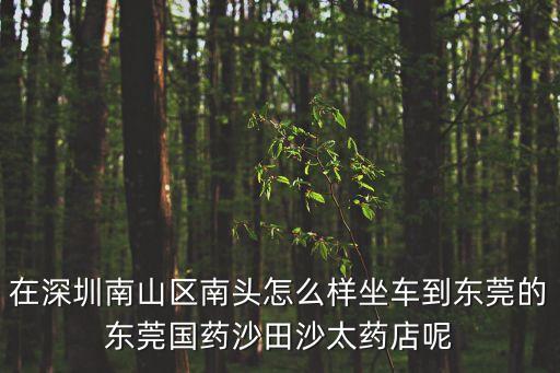 在深圳南山區(qū)南頭怎么樣坐車到東莞的東莞國(guó)藥沙田沙太藥店呢