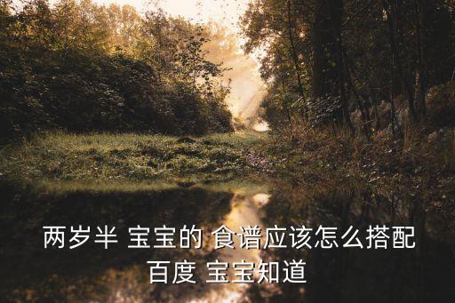 兩歲半寶寶食譜,一歲寶寶每日所需六種營(yíng)養(yǎng)素
