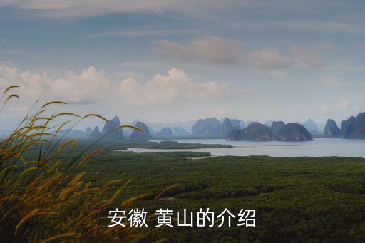 安徽 黃山的介紹
