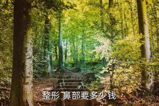 鼻部整型,鼻部整形手術分為玻尿酸隆鼻和自體脂肪隆鼻