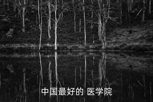 最好的醫學院,首都醫科大學醫學院實力最強北京醫學部居第二