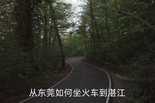 東莞東到湛江文理學(xué)院怎么坐車，從東莞到湛江怎么坐車