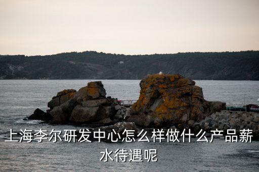 上海市研發中心好不好，上海李爾研發中心怎么樣做什么產品薪水待遇呢