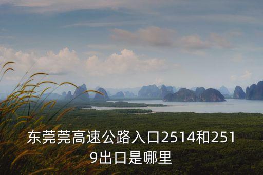 東莞有武沙高速出口嗎，東莞莞高速公路入口2514和2519出口是哪里